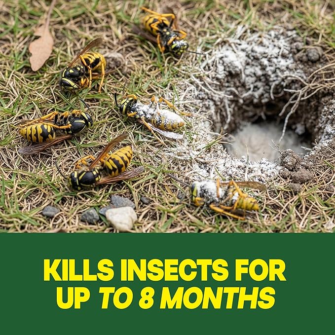 Raid Outdoor Wasp Ground Nest Killer Dust Insecticide for Outside Household Use on Wasps Fast-Working Easy-to-Use and Odorless 24 oz