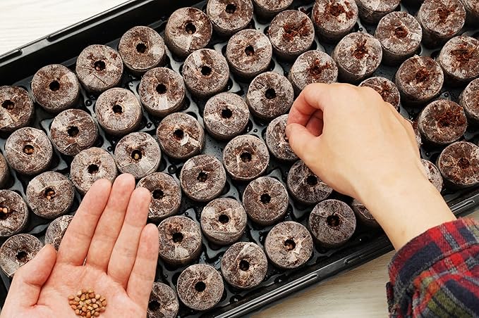 72 Coconut Coir Pellet Seed Starting Greenhouse Kit – 35mm Peat-Free Pellets All-in-One Seed Starter Tray with Humidity Dome Sustainable Indoor Germination