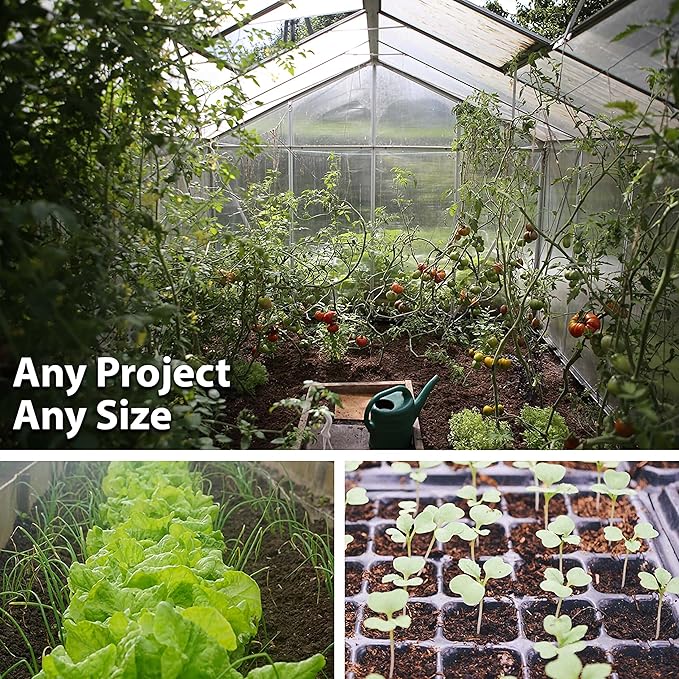 Caveman’s Club Gourd 5 Lb ~10800 Seeds – Maranka Heirloom Variety – 120 Days – Non-GMO Annual – 10–16 Long Curved Gourds – Edible When Young – Trellis Support Recommended