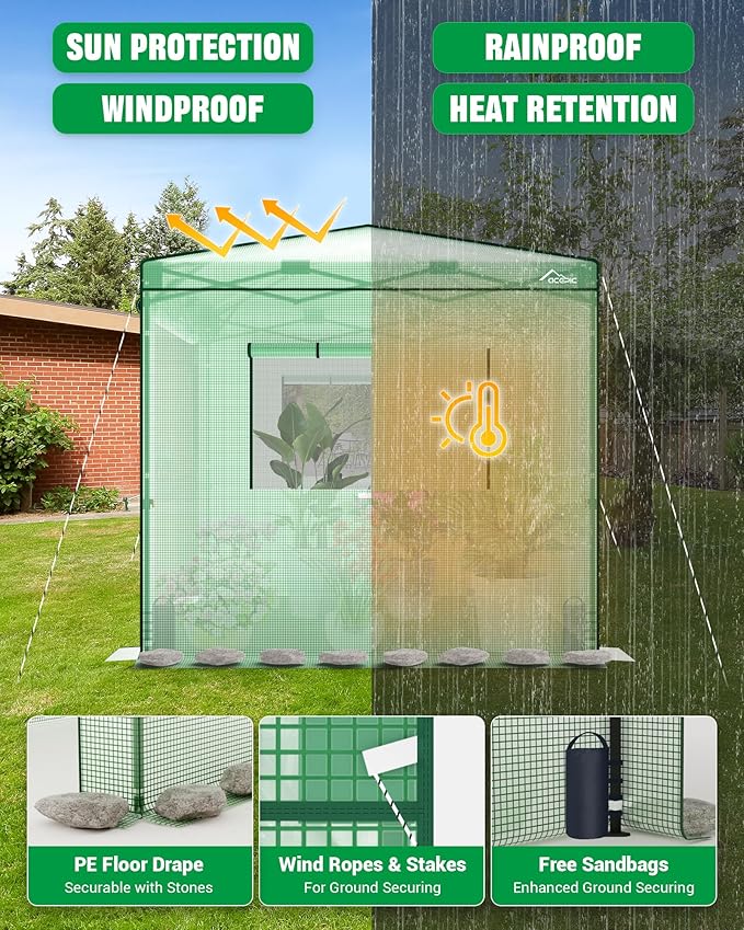 8x6 Instant Pop up Greenhouses Indoor Outdoor Portable Greenhouse Walk-in Small Green House for All Season with Roll-Up Zipper Doors and Side Windows 4 Sandbags Pe Cover Green/Clear