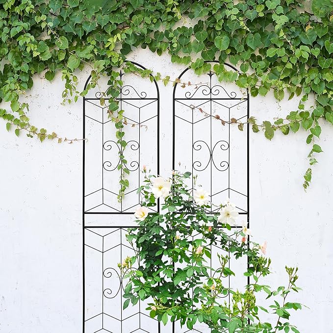 4 Pack Metal GTr86.7 x 19.7 Rustproof for Climbing Plants Outdoor Flower Support Black HG147