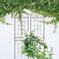 2 Pack Metal GTr86.7 x 19.7 Rustproof for Climbing Plants Outdoor Flower Support Black DI890