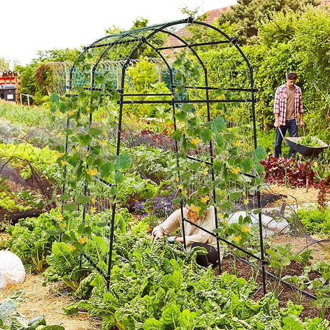 7.5FT Tall Plant Support Archway 71 x 43-63 x 90 Garden Arch Trellis for Climbing Plants with PE Coated Metal Structure for Climbing Vine/Vegetables/Fruit/Flower for Raised Bed