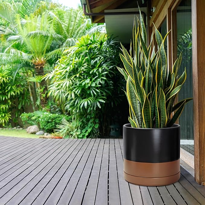 D'vine Dev 14 Inch Ceramic Planter Pot with Drainage Hole and Saucer Indoor Cylinder Round Planter Pot Black/Speckled Tan 94-O-G-7