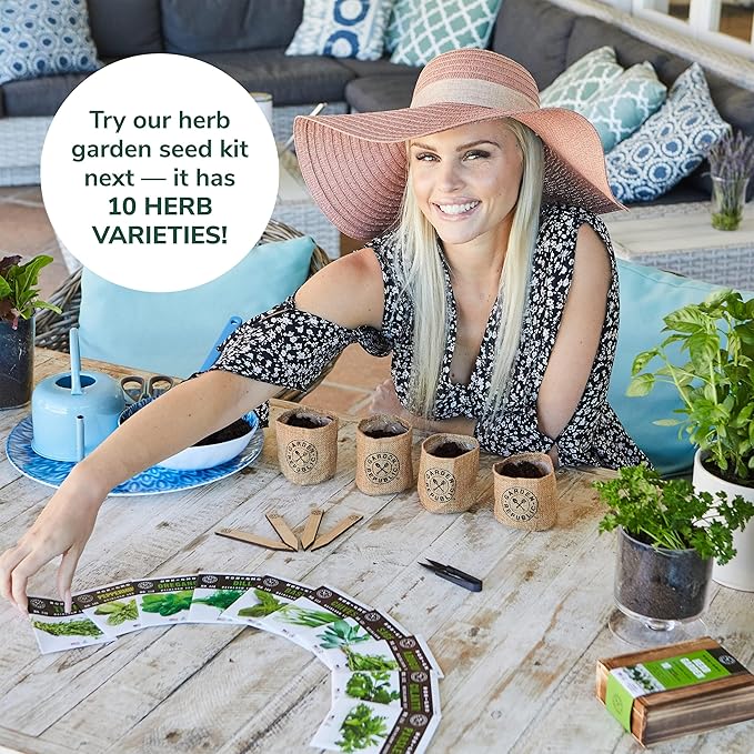 Indoor Herb Garden Starter Kit - Heirloom Non-GMO Herb Seeds - Basil Thyme Parsley Cilantro Seed Potting Soil Pots Scissors - DIY Grow Kits for Growing Herbs Indoors Kitchen Balcony Window Sill