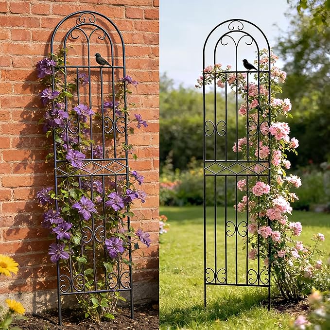 2-Pack 86.6 H x 19.7 W Rustic Metal Arched Garden Trellis – Rustproof Black Climbing Plant Support &amp Decorative Screen for Roses Clematis Cucumbers Patio Lawn &amp Courtyard