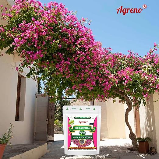Agreno® Bougainvillea Buds and Bloom Booster Essential Organic Powerful Fertilizer Granule for Overall Fast Growth and Heavy Flowering of Bougainvillea Plants. (1 kg)