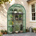 Mini Greenhouse for Outdoors Portable Small Greenhouse 4-Tiers for Indoor 38x17x62 Green House with PE Cover