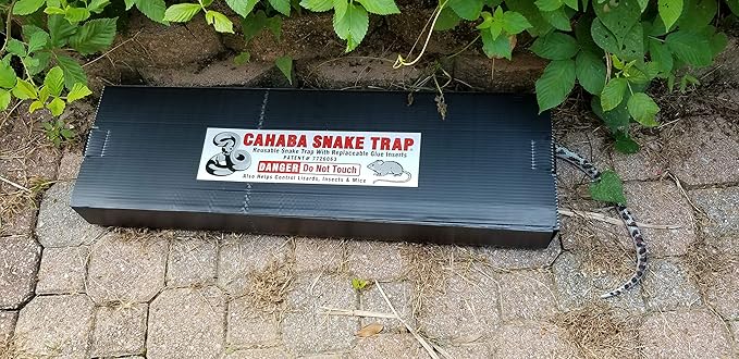Snake Trap Large (Foldable Reusable 32x10x 3) with (1) Catch Insert Commercial Grade Made of Strong Corrugated Plastic in Alabama USA