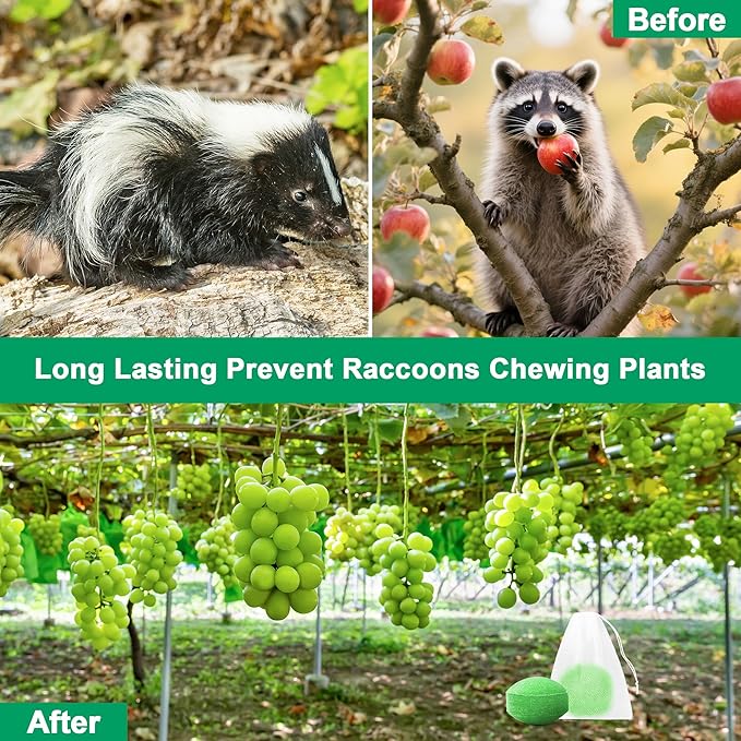 24 Pack Peppermint Skunk Repellent Raccoon Repellent Ball for House Garage Garden Car Engine Indoor Raccoon Deterrent for Outdoor Keep Skunks and Raccoons Out Natural Ingredients Pet Safe Green
