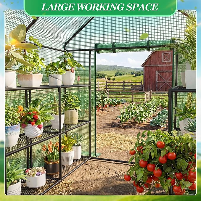 Frienda 2 Pack Walk in Greenhouse Replacement Cover 56 x 56 x 76 PE Gardening Greenhouse Cover with Roll Up Zipper for Outdoor Cold Frost Protection Rain Wind Proof (Frame Not Included) (Green)