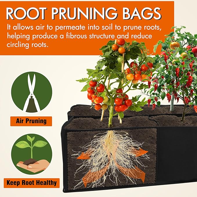 Gardzen 2 Pack Fabric Raised Garden Beds 2x4x1 FT - 8 Grids Grow Bed for Square Foot Gardening Planting Box for Vegetables Herbs Flowers