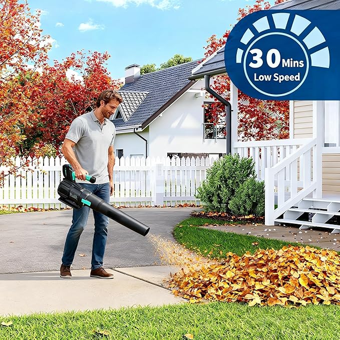 DEXSO Cordless Leaf Blower - 650 CFM / 200 MPH2 Speed 21-Volt Lithium-ion 4.0Ah Battery and Charger Included