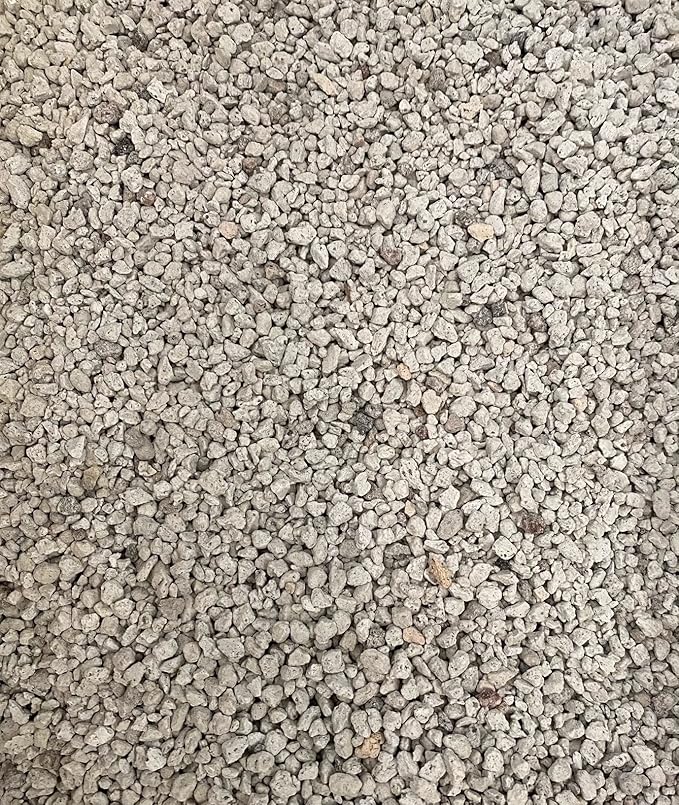3 Gal. 1/8 Pumice for Seedling Cutting Propagatiion Cactus &amp Succulents Bonsai Tree Soil Mix - Shohin Grain Size (3GAL Pumice SH)