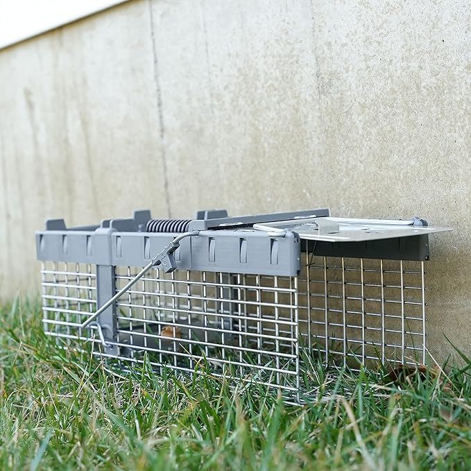 Havahart Small 1-Door Humane Live Catch and Release Animal Trap for Squirrels Weasels Chipmunks and Other Animals - Humane Catch and Release for Small Animals - 1026