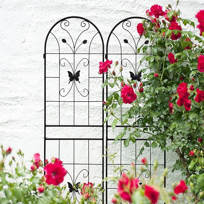 2 Pack Large Garden Trellis Heavy Duty Rustproof Iron Plant Trellis for Potted Plant Support Metal Climbing Rose Trellis Vine Vegetable CucumberBlack-71 H x 19.7 W