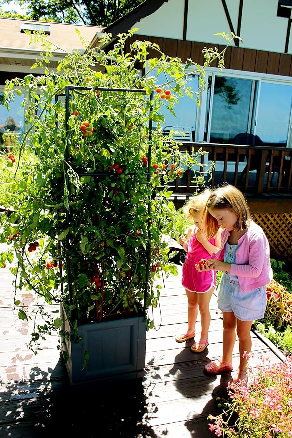 City Picker's XL Trellis Tower