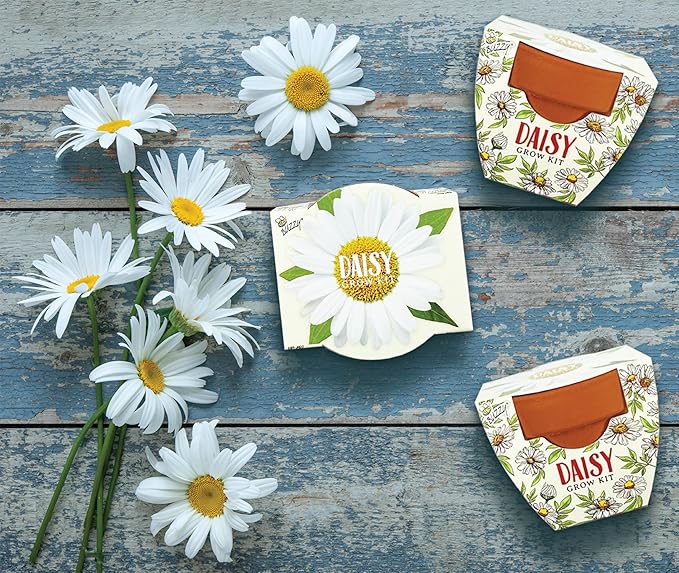 BUZZY Seeds Daydream Mini Terracotta Pots 12-Pack with Daisy Seed Packets – All-in-One Starter Set with Growing Medium and Easy Instructions Gardening Gift Wedding Favors Corporate Gifting