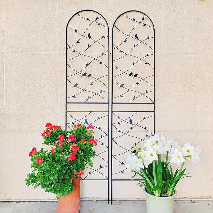 4 Pack Metal GTr86.7 x 19.7 Rustproof for Climbing Plants Outdoor Flower Support Bird Deco Black