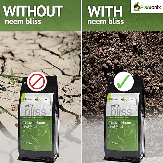 Neem Bliss (5lbs) + Char Bliss (8 Qts) - Neem Cake for Plants &amp Organic Biochar for Plants - Biochar Soil Amendment Charcoal for Plants - Neem Seed Meal - Neem Meal Fertilizer - Neem Powder for Pl