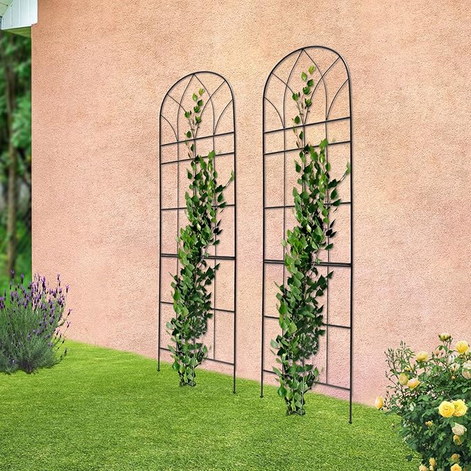 Garden Trellis for Climbing Plants Outdoor Arch Trellis for Climbing Plants