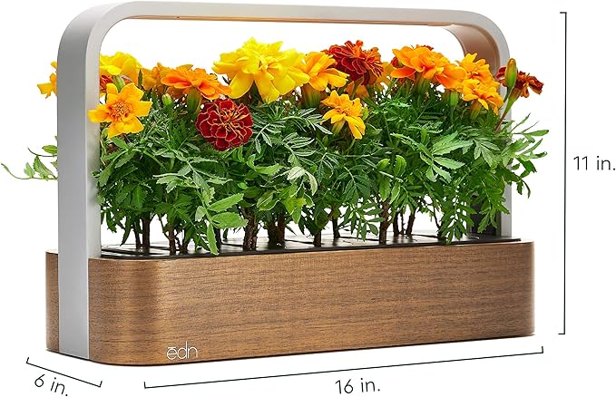 EDN SmallGarden with Basil SeedPods Indoor Grow Smart Garden for iOS Devices - Fresh Home Grown Herbs Plants and Flowers - Grow up to 10 Different Plants at Once