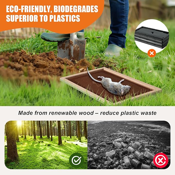 Qualirey 8 Pack Large Mouse Glue Traps Heavy Duty Wood Rat Traps Snake Sticky Board with Enhanced Stickiness for Indoor &amp Outdoor Pre-Scented Peanut Taste Non-Toxic Sturdy Wooden Tray Pet Sa