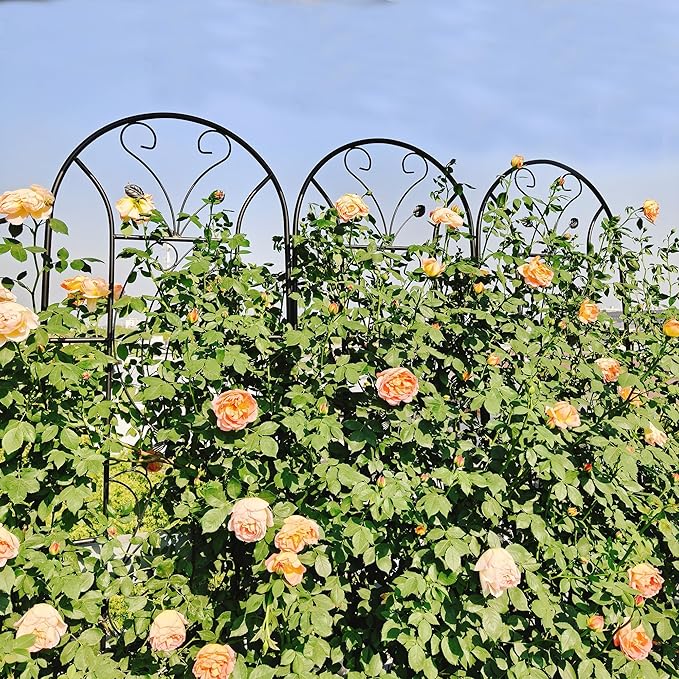 2 Pack Metal Garden Trellis 86.7x 19.7 Peacock Style Rustproof Plant Support for Climbing Plants Outdoor Heavy Duty Powder Coated Trellis for Vine Rose Clematis Cucumber Vegetable Flower (2)