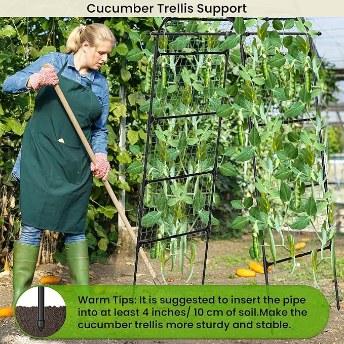 Cucumber Trellis for Raised Bed U-Shape Metal Garden Arch Rustproof PE-Coated Plant Support for Cucumbers Beans Tomatoes Squash Flowers (Black 31.5 * 49.2 * 82.7inch(L*W*H))