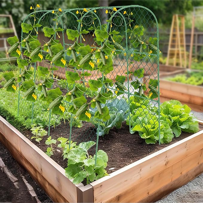 Cucumber Trellis 50 X 47 U-Shape Garden Trellis for Climbing Plants Outdoor Arch Trellis Cucumber for Raised Bed Foldable Plant Support for Vine/Vegetable/Tomato/Zucchini/Pea
