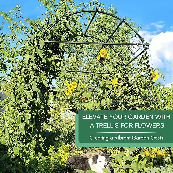 Garden Arch Trellis 7FT Extra Tall Polyethylene-Coated Stainless Steel Garden Trellis for Climbing Plants Outdoor Garden Trellis Arch for Cucumber Trellis | Gardening Trellis with Clips (Black)