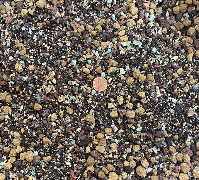 2 Gal. Premium Mixed Akadama Cactus &amp Succulent Soil with Lava Rock Maifan Stone &amp Green Zeolite - Medium Grain 6 mm～10 mm