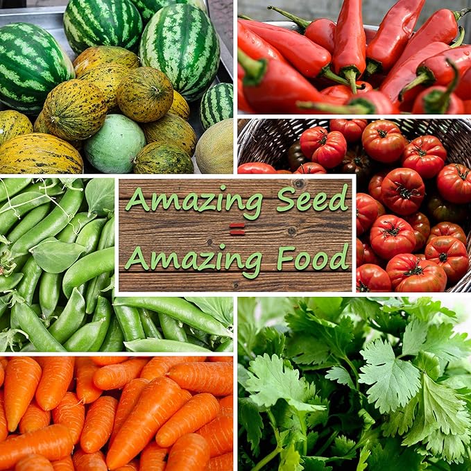 Tendersweet Carrot Seed - 5 Lb ~1600000 Seeds - Non-GMO Heirloom Vegetable Garden Seeds - Gardening by Mountain Valley Seed