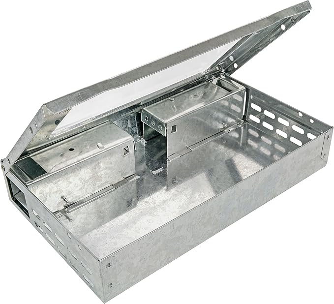 iTrap Multi-Catch Humane Mouse Trap with Clear Top | Repeater Mouse Trap for Home &amp Office | Set of 3 - iTrap-002-S4-3PK