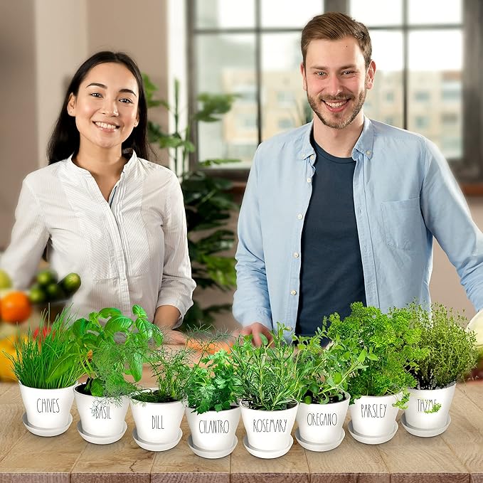 Deluxe Indoor &amp Outdoor Herb Garden Kit – 8 or the Most Popular Culinary Herbs with Pots &amp Soil for Windowsill or Patio Growing