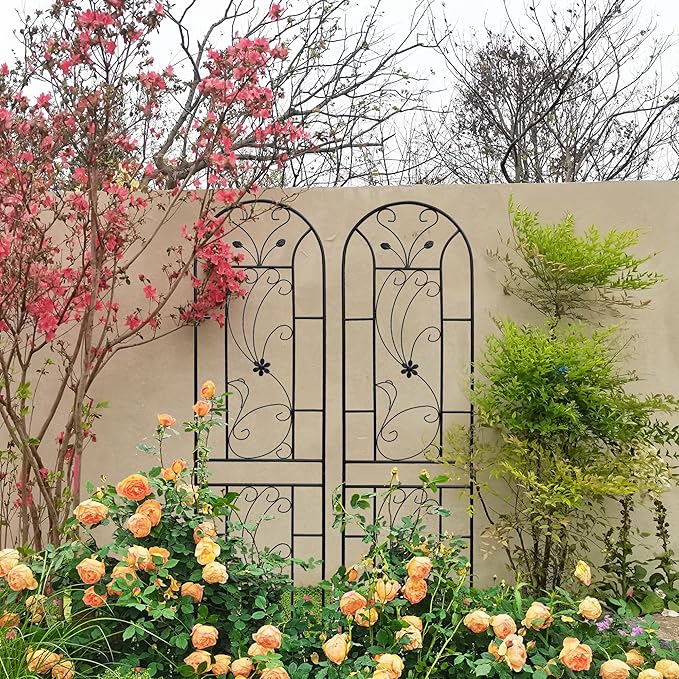 2 Pack Metal Garden Trellis 86.7x 19.7 Peacock Style Rustproof Plant Support for Climbing Plants Outdoor Heavy Duty Powder Coated Trellis for Vine Rose Clematis Cucumber Vegetable Flower (2)