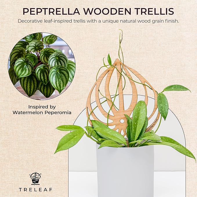 Treleaf Peptrella Watermelon Peperomia Inspired Wooden Trellis – Petite Size 9 Indoor Plant Support for Hoyas and Climbing Plants – Decorative Houseplant Trellis and Wooden Plant Stake