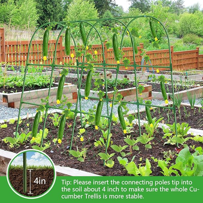 Cucumber Trellis for Raised Bed 48x48 inch U-Shape Metal Garden Trellis for Climbing Plants Outdoor Cucumber Trellis for Garden Arch Garden Trellis for Plants Vegetables Flower