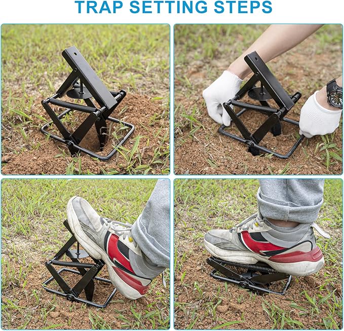 2 Pack Mole Trap Mole Traps that Kill BestMole Killer Easy to Set Mole Traps for LawnsMole Trap Scissor Metal Gopher Trap Large (Black)