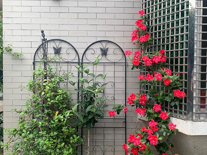 LifeSky Metal Garden Trellis for Climbing Plants: 2 Pack Outdoor Plant Support Structure - Rustic Wrought Iron Design with Butterfly Accents for Urban Balcony Gardening &amp Vertical Vine Training