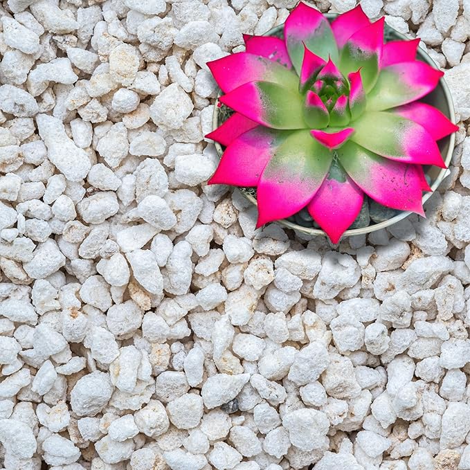 Perlite for Plants Extra Coarse Grade 4 Horticultural Perlite Organic Perlite for Gardening Indoor &amp Outdoor Made in USA (30 quarts)