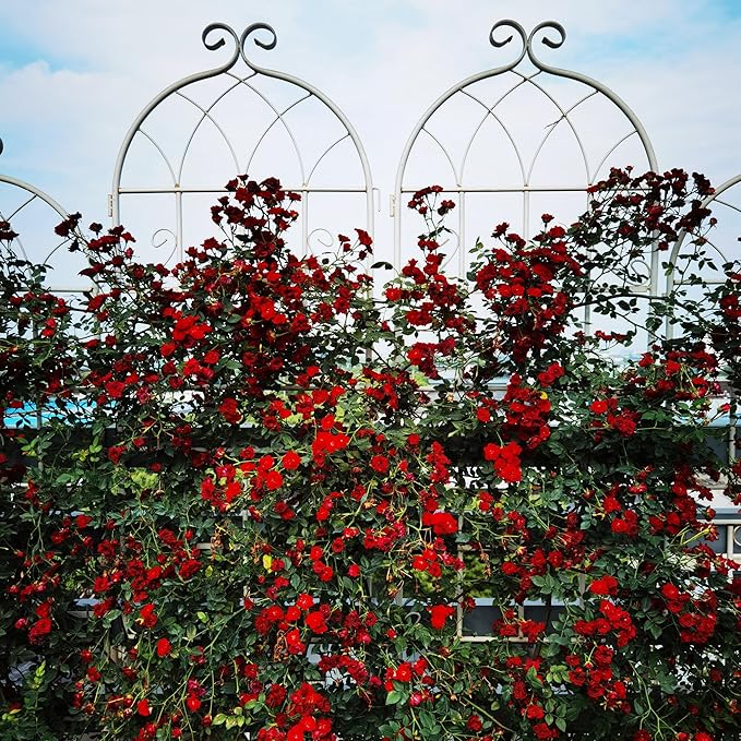 Metal Garden Trellis Rustproof Trellis for Climbing Plants Outdoor Flower Support Butterfly Deco (Cream White-2 Pack 71x19.7)