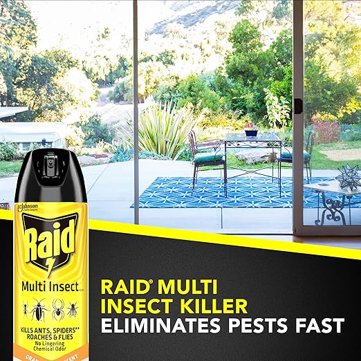 Raid Multi Insect Killer Aerosol Kills Ants Spiders Roaches and Flies No Lingering Chemical Odor Indoor and Outdoor Use 15 Ounce (Pack of 12)