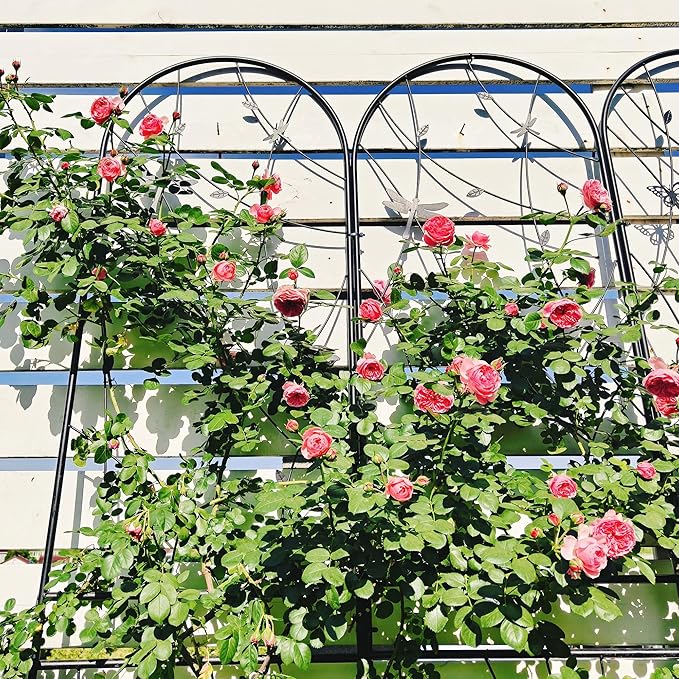 2 Pack Metal Garden Trellis 86.7 x 19.7 Rustproof Trellis for Climbing Plants Outdoor Flower Support Dragonfly Deco Black