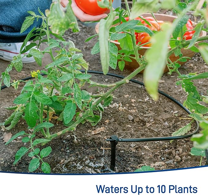 Orbit 91945 Tomato Garden Drip Irrigation Watering Kit w/Automatic Watering Timer