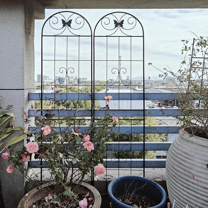 2 Pack Rustproof Metal Trellis for Climbing Plants 71x19.7 Outdoor Garden Support for Vines/Roses/Vegetables French Country Iron Plant Stand for Patio/Wedding Decor (Black1)
