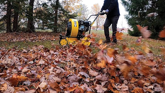 Champion Power Equipment 212cc 1200 CFM Walk-Behind Leaf Blower