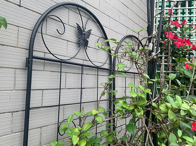 LifeSky Metal Garden Trellis for Climbing Plants: 2 Pack Outdoor Plant Support Structure - Rustic Wrought Iron Design with Butterfly Accents for Urban Balcony Gardening &amp Vertical Vine Training
