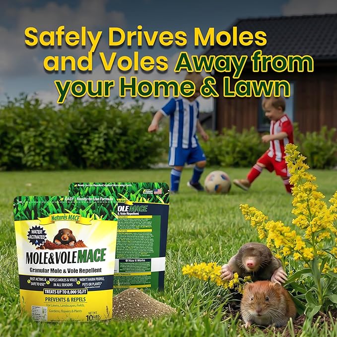 Nature's MACE Mole &amp Vole MACE – Yard &amp Garden Granules Castor Oil Formula Outdoor Use Plant &amp Pet Safe 160 Fl Oz (Pack of 1)