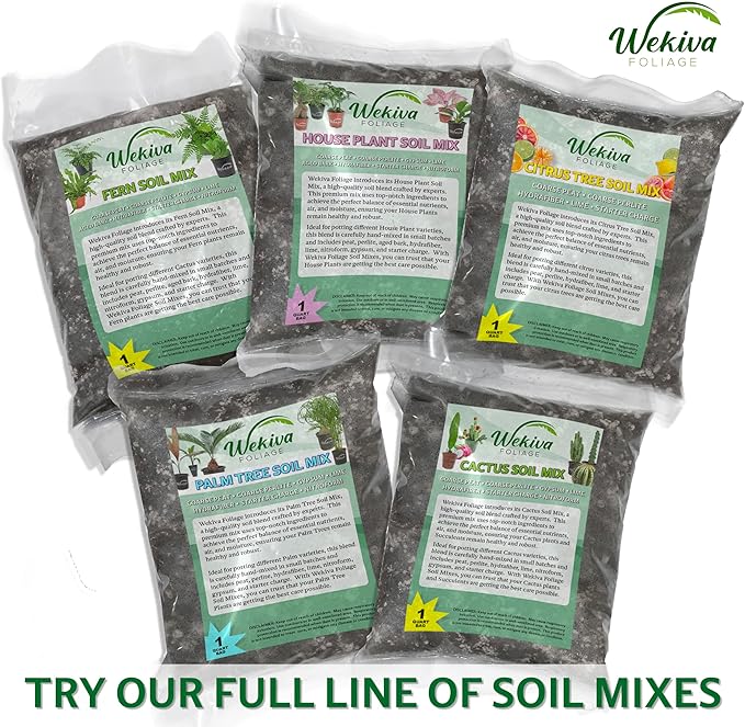 Palm Tree Growing Soil Mix – 5 Quarts - Custom Soil Blend – Potting Mix for Palm Trees – Specially Developed by and for Professional Nursery Growers - Nutrient-Rich Formula